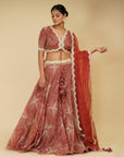 Scarlet Red Lehenga Set - red lehenga