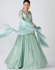 Sea Green Organza Georgette Skirt Set - indian dress for women