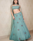 Sea Green Organza Lehenga - organza lehenga