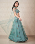Sea Green Organza Lehenga - organza lehenga