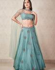 Sea Green Organza Lehenga - organza lehenga