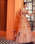Shadi Saga Lehenga Set - orange lehenga