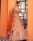 Shadi Saga Lehenga Set - orange lehenga