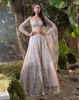 Shimmer Grey Lehenga Set - grey lehenga