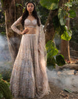 Shimmer Grey Lehenga Set - grey lehenga