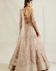 Silver Mauvish Glass Embroidered Lehenga - bridal lehenga