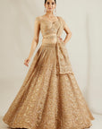 Tuscany Gold Mandala Lehenga - golden lehenga USA