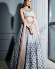 Steel Grey Crystals Lehenga - grey lehenga