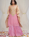 Taffy Pink Banarasi Georgette Kaftan - kaftan dress indian
