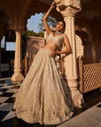 Vanya Ivory Embroidered Lehenga - embroidered lehenga