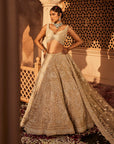 Vanya Ivory Embroidered Lehenga - embroidered lehenga