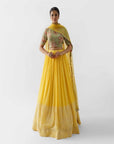Yellow Hand Embroidered Lehenga Set - embroidered lehenga
