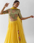 Yellow Hand Embroidered Lehenga Set - embroidered lehenga