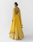 Yellow Hand Embroidered Lehenga Set - embroidered lehenga