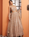 Zardosi Lehenga Set - embroidered lehenga