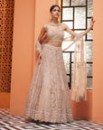 Zardosi Lehenga Set - embroidered lehenga