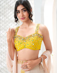 Baby Pink Hand Painted Lehenga and Embroidered Yellow Blouse