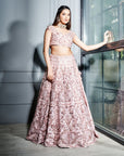 Blush Pink Chintz 3D Floral Lehenga Set - lehenga set Sydney