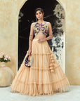 Multi-Hued Embroidered Blouse and Tier Skirt Set